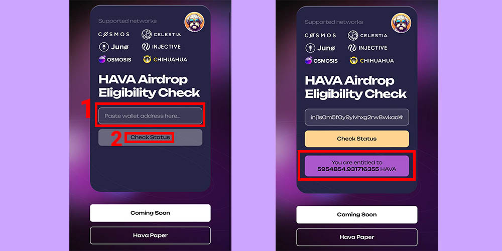 برداشت ایردراپ ارز hava