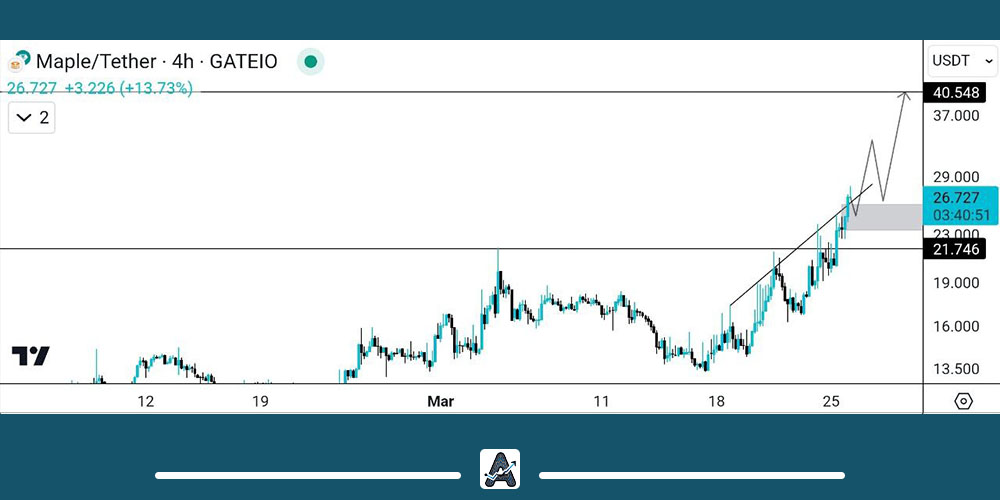 تحلیل ارز دیجیتال MPL