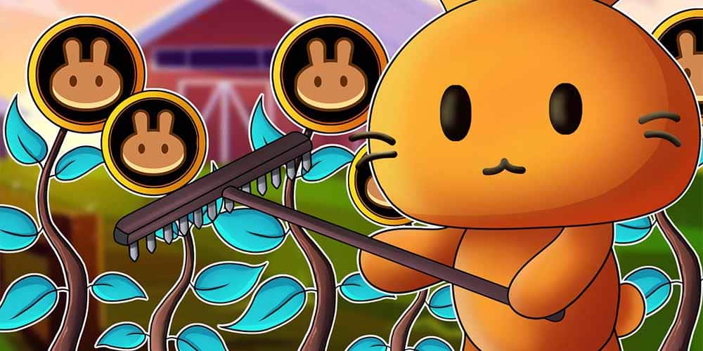 آینده ارز کیک با تحلیل فاندامنتال