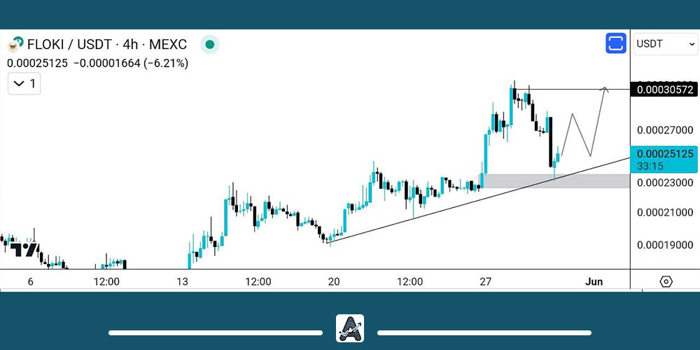 تحلیل میم کوین فلوکی