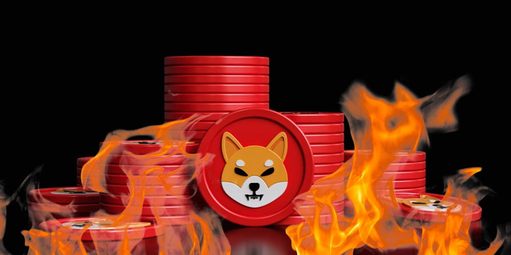 تاثیر توکن سوزی در شیبا یک دلاری