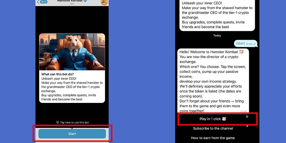 شروع و دانلود همستر کامبت تلگرام