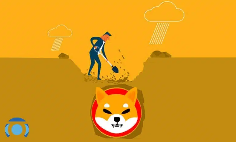 استخراج شیبا