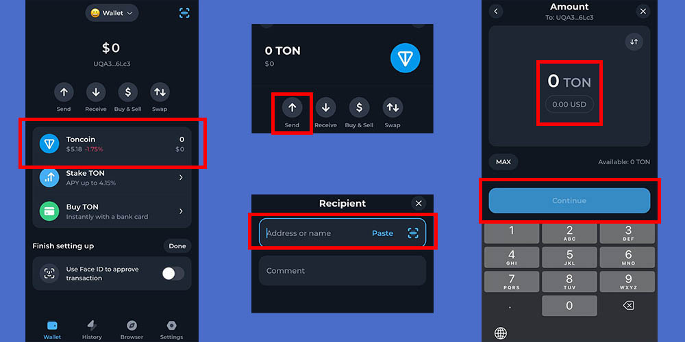 برداشت همستر از کیف پول