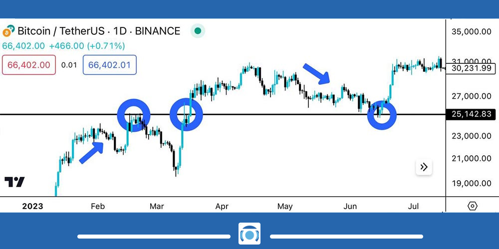 تبدیل حمایت به مقاومت و برعکس