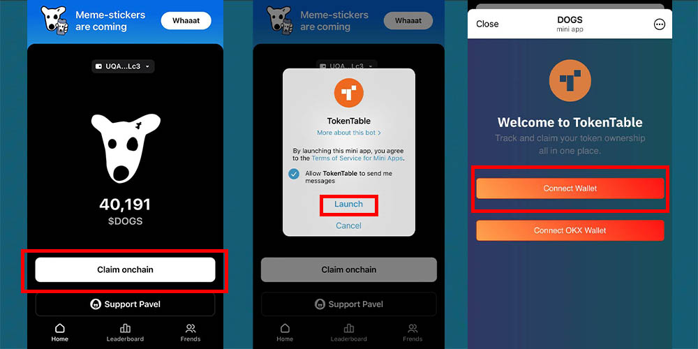 برداشت ارز داگز از تون کیپر