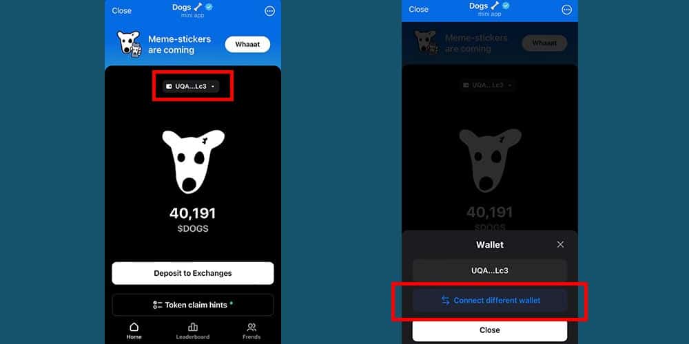 تغییر کیف پول داگز