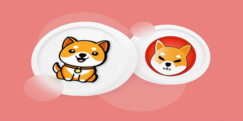 مقایسه بیبی دوج و شیبا