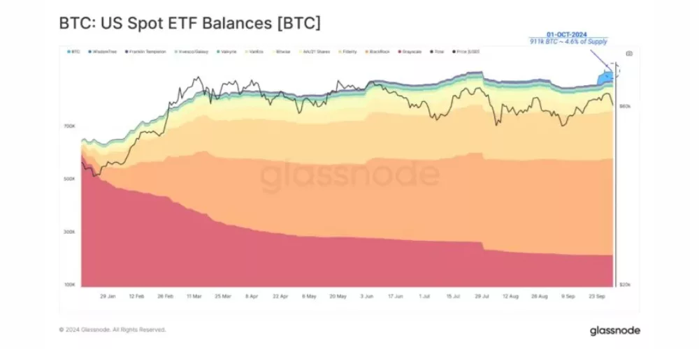 شرایط لازم برای رشد بیت کوین