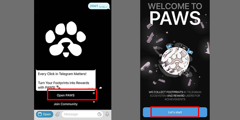 ورود به ربات Paws