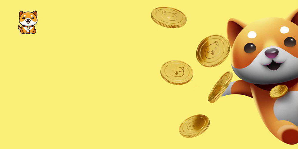 ارز دیجیتال بیبی دوج کوین