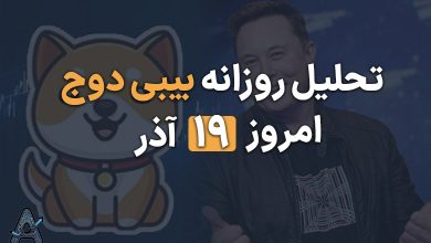 دلیل رشد بیبی دوج کوین