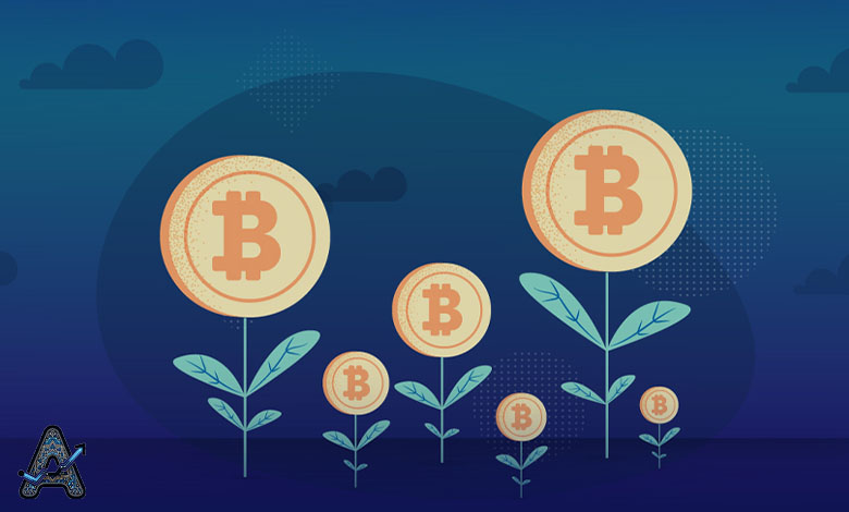 درآمد بیت کوین