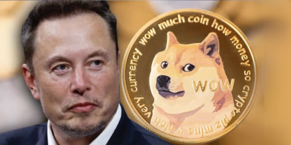ایلان ماسک صاحب دوج کوین