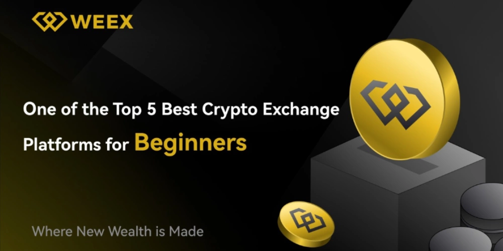 خدمات صرافی ویکس