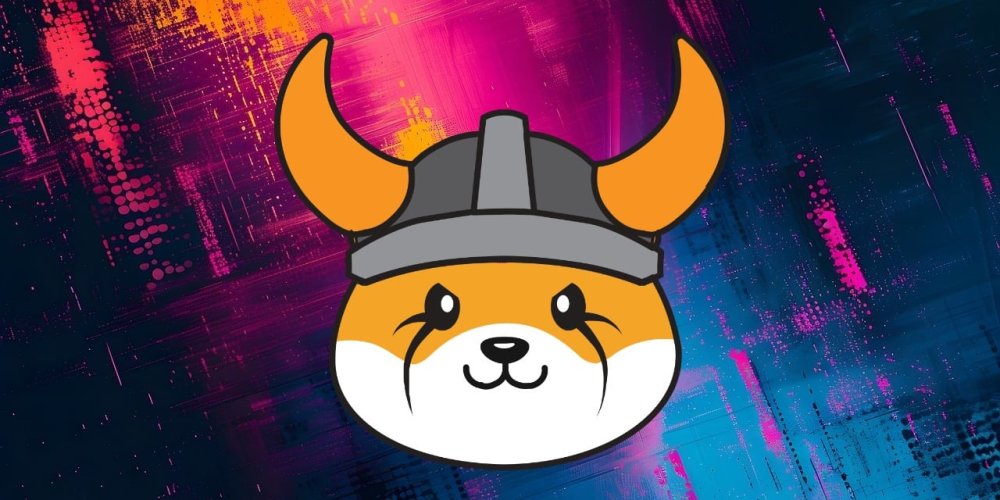 میم کوین فلوکی