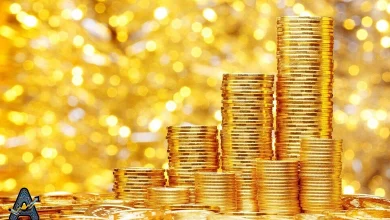 بهترین سکه گرمی برای سرمایه گذاری