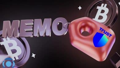 memo در تراست ولت چیست