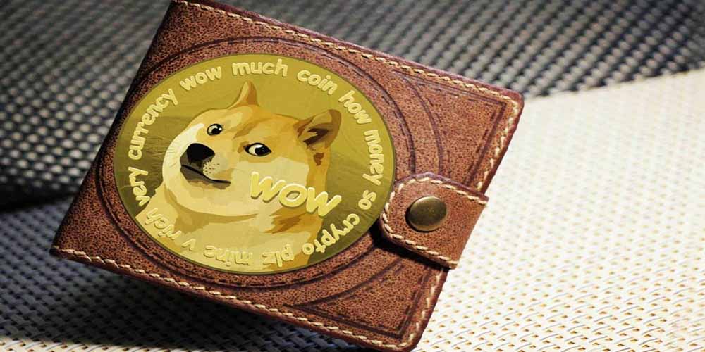 انتخاب بهترین کیف پول دوج کوین