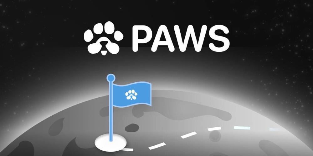 ماجرای کلاهبرداری پاوز