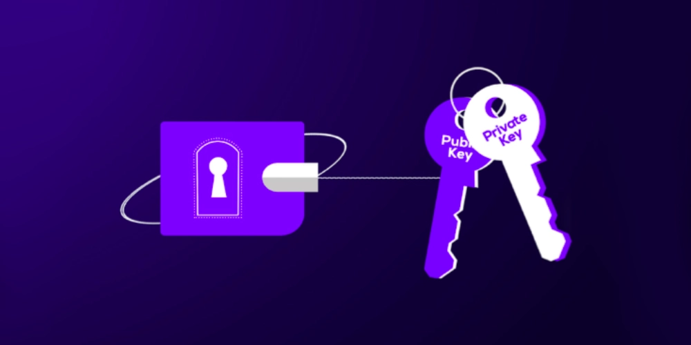 آشنایی با تفاوت Private Key و Public Key