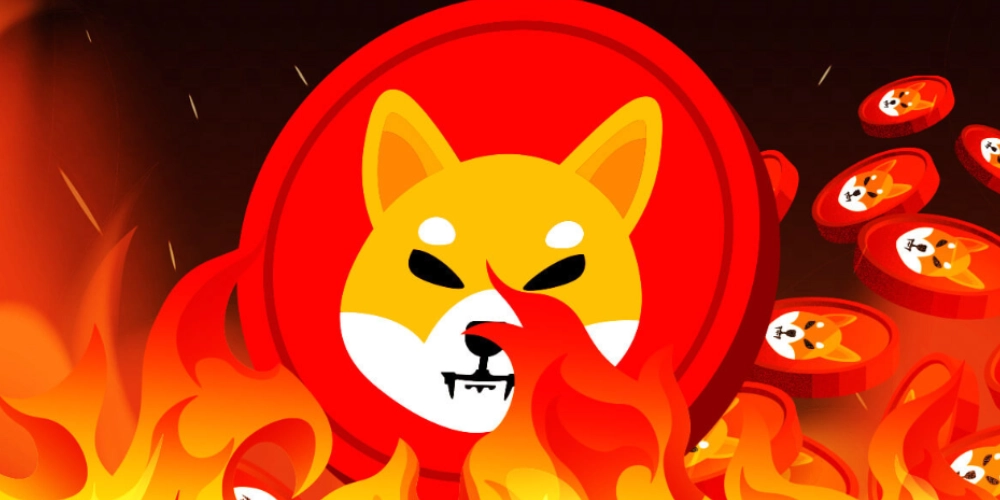 توکن سوزی شیبا اینو