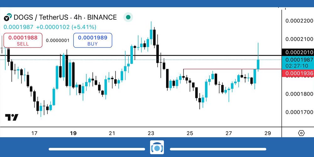 تحلیل ارز داگز امروز 7 خرداد