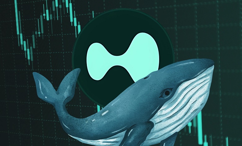 رفتار نهنگ‌های هایپر لیکویید