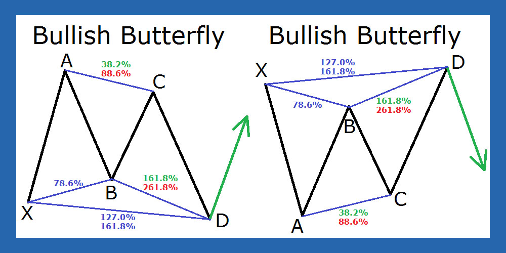 نوع پروانه از الگوهای هارمونیک