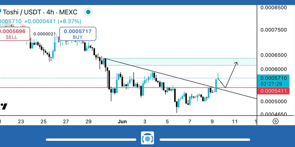 تحلیل میم کوین TOSHI