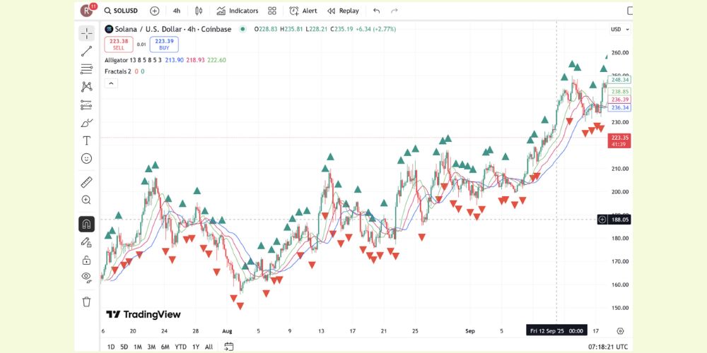 الیگیتور و فراکتال