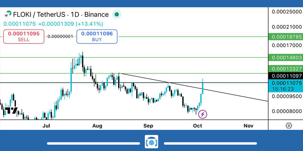 تحلیل تکنیکال ارز فلوکی امروز