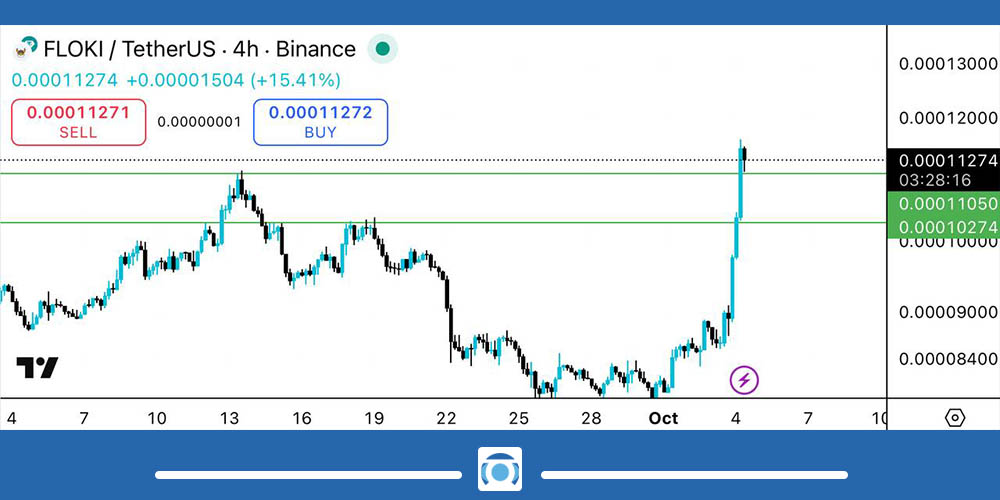 نمودار ارز دیجیتال فلوکی
