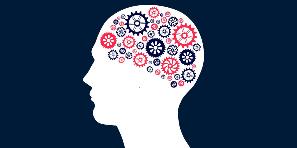 فصل های تریدینگ این د زون