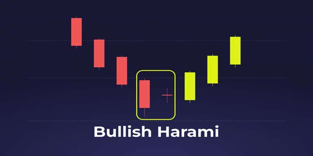 هارامی صعودی یا گاوی