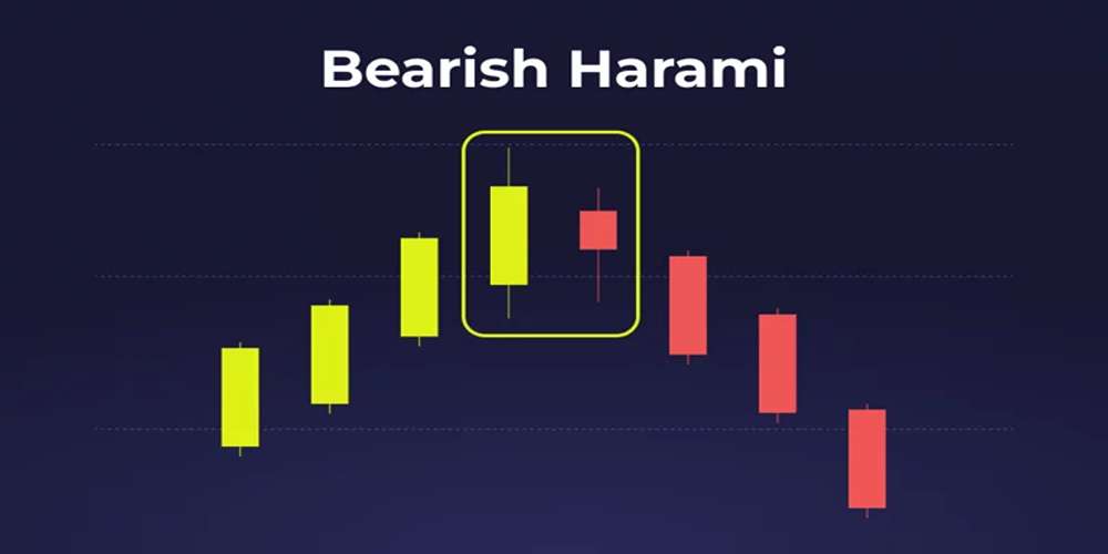 هارامی نزولی یا خرسی