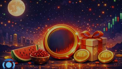 ایردراپ یلدایی ارزیکال