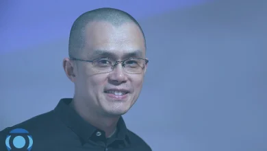 توصیه سی زی