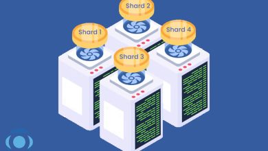 شاردینگ چیست