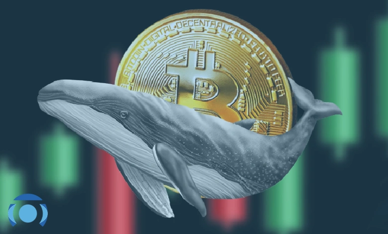 فشار فروش پنهان نهنگ‌ها بیت کوین