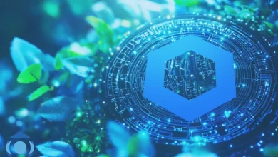 فعالیت توسعه دهندگان چین لینک