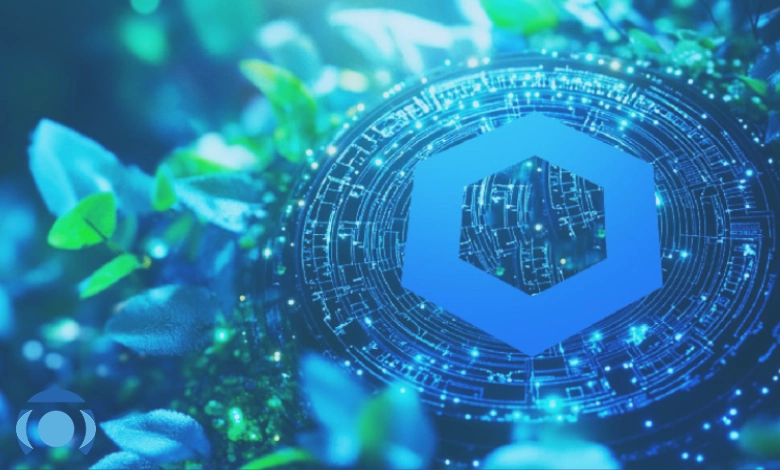 فعالیت توسعه دهندگان چین لینک