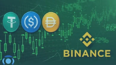 ورود حجم قابل توجه استیبل کوین به بایننس