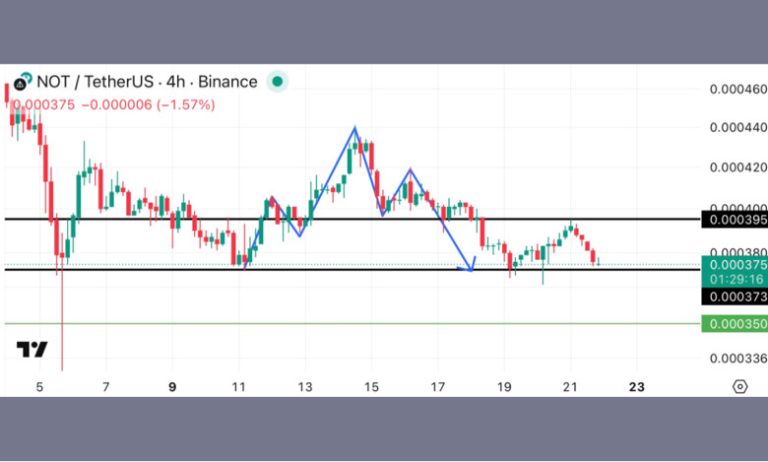 نبرد خريداران و فروشندگان روى سطح حياطى NOT