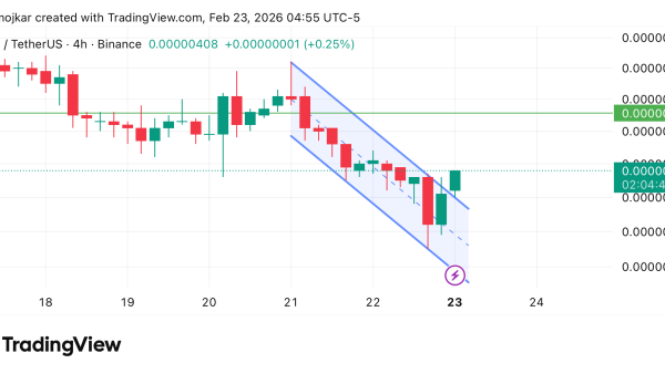 تحلیل PEPE 2026-02-23