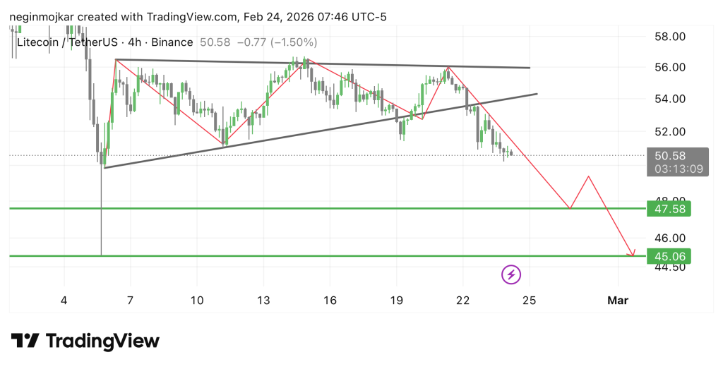 تحلیل LTC 2026-02-24