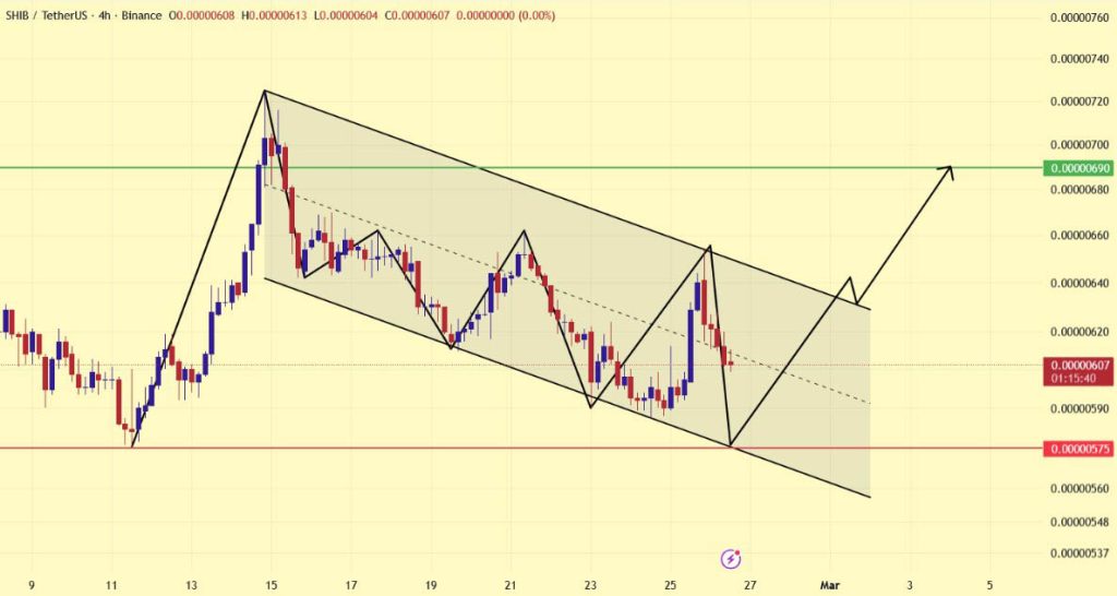 تحلیل SHIB 2026-02-26