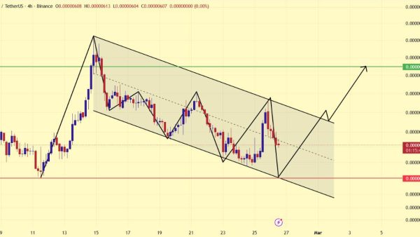 تحلیل SHIB 2026-02-26